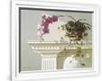 Gramercy White