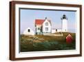 Brown Frame