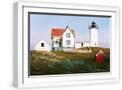 White Frame