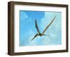 Zhenyuanopterus, a Genus of Pterosaur from the Cretaceous Period-null-Framed Art Print