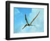 Zhenyuanopterus, a Genus of Pterosaur from the Cretaceous Period-null-Framed Art Print