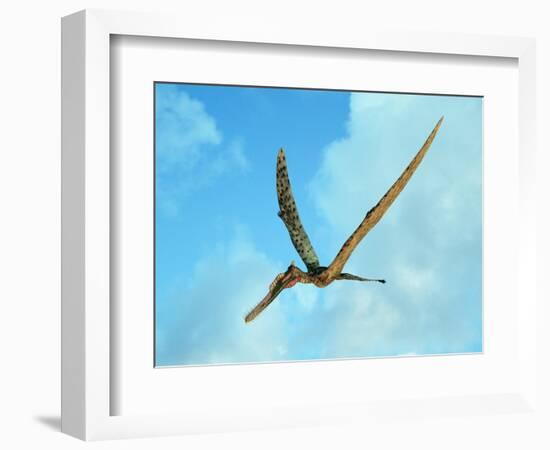 Zhenyuanopterus, a Genus of Pterosaur from the Cretaceous Period-null-Framed Art Print