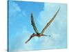 Zhenyuanopterus, a Genus of Pterosaur from the Cretaceous Period-null-Stretched Canvas