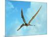 Zhenyuanopterus, a Genus of Pterosaur from the Cretaceous Period-null-Mounted Art Print