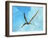 Zhenyuanopterus, a Genus of Pterosaur from the Cretaceous Period-null-Framed Art Print