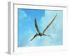 Zhenyuanopterus, a Genus of Pterosaur from the Cretaceous Period-null-Framed Art Print