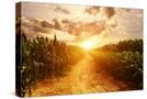Stretched Canvas