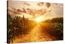Stretched Canvas