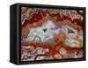 Zig Zag Pattern Crazy Lace Agate-Darrell Gulin-Framed Stretched Canvas