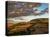 Zig Zag Road in Last Autumn Light near Monticchiello-Terry Eggers-Stretched Canvas