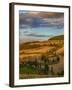 Zig Zag Road in Last Autumn Light near Monticchiello-Terry Eggers-Framed Photographic Print