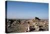 Ziggurat, Ashur, Iraq, 1977-Vivienne Sharp-Stretched Canvas