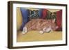 Ziggy-Janet Pidoux-Framed Premium Giclee Print