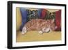 Ziggy-Janet Pidoux-Framed Premium Giclee Print