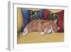 Ziggy-Janet Pidoux-Framed Premium Giclee Print