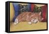 Ziggy-Janet Pidoux-Framed Stretched Canvas