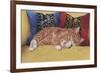 Ziggy-Janet Pidoux-Framed Giclee Print