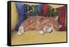 Ziggy-Janet Pidoux-Framed Stretched Canvas