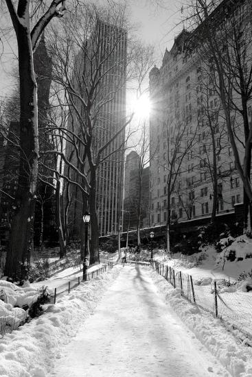 Premium Photographic Print, , large