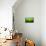 Zigzag-Marcin Sobas-Mounted Photographic Print displayed on a wall