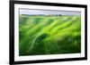 Zigzag-Marcin Sobas-Framed Photographic Print