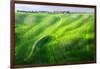 Zigzag-Marcin Sobas-Framed Photographic Print