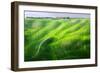 Zigzag-Marcin Sobas-Framed Photographic Print