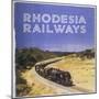 Zimbabwe : a Massive Steam Locomotive Hauls a Long Train across Rhodesia's Wide Open Spaces-null-Mounted Premium Photographic Print