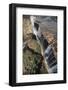 Zimbabwe, Aerial View of Victoria Falls-William Sutton-Framed Photographic Print