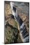 Zimbabwe, Aerial View of Victoria Falls-William Sutton-Mounted Photographic Print