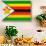 Zimbabwe Flag Design with Wood Patterning - Flags of the World Series-Philippe Hugonnard-Stretched Canvas displayed on a wall