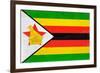 Zimbabwe Flag Design with Wood Patterning - Flags of the World Series-Philippe Hugonnard-Framed Art Print