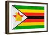 Zimbabwe Flag Design with Wood Patterning - Flags of the World Series-Philippe Hugonnard-Framed Premium Giclee Print