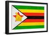 Zimbabwe Flag Design with Wood Patterning - Flags of the World Series-Philippe Hugonnard-Framed Premium Giclee Print