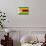 Zimbabwe Flag Design with Wood Patterning - Flags of the World Series-Philippe Hugonnard-Stretched Canvas displayed on a wall