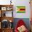 Zimbabwe Flag Design with Wood Patterning - Flags of the World Series-Philippe Hugonnard-Stretched Canvas displayed on a wall