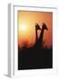 Zimbabwe, Maasai Giraffe Standing at Sunset-Roy Toft-Framed Photographic Print