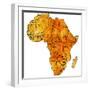 Zimbabwe on Actual Map of Africa-michal812-Framed Premium Giclee Print