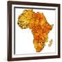 Zimbabwe on Actual Map of Africa-michal812-Framed Art Print