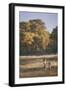 Zimbabwe, View of Burchells Zebra Linkwasha in Hwange National Park-Stuart Westmorland-Framed Photographic Print