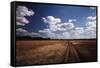 Zimbabwe, View of Road Near Linkwasha Airstrip-Stuart Westmorland-Framed Stretched Canvas