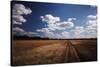 Zimbabwe, View of Road Near Linkwasha Airstrip-Stuart Westmorland-Stretched Canvas