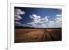 Zimbabwe, View of Road Near Linkwasha Airstrip-Stuart Westmorland-Framed Photographic Print