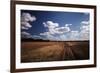 Zimbabwe, View of Road Near Linkwasha Airstrip-Stuart Westmorland-Framed Photographic Print