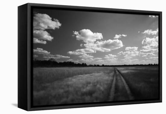 Zimbabwe, View of Road Near Linkwasha Airstrip-Stuart Westmorland-Framed Stretched Canvas