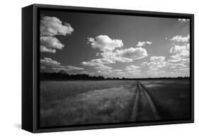 Zimbabwe, View of Road Near Linkwasha Airstrip-Stuart Westmorland-Framed Stretched Canvas