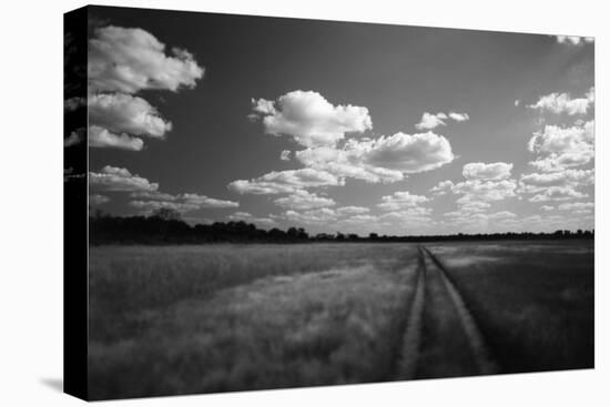 Zimbabwe, View of Road Near Linkwasha Airstrip-Stuart Westmorland-Stretched Canvas