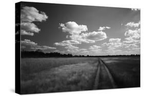 Zimbabwe, View of Road Near Linkwasha Airstrip-Stuart Westmorland-Stretched Canvas