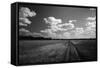 Zimbabwe, View of Road Near Linkwasha Airstrip-Stuart Westmorland-Framed Stretched Canvas