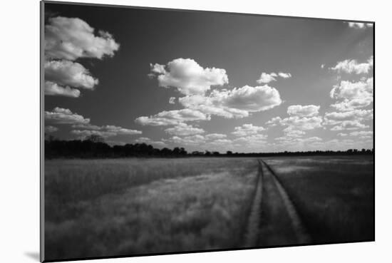 Zimbabwe, View of Road Near Linkwasha Airstrip-Stuart Westmorland-Mounted Photographic Print